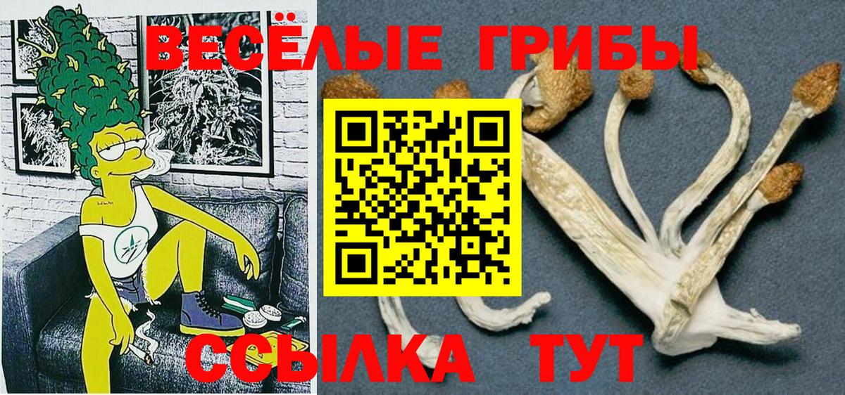 Галлюциногенные грибы Cubensis Великие Луки